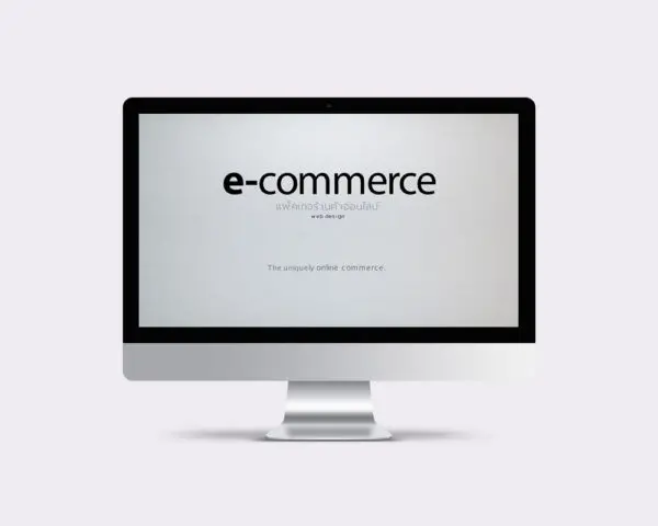แพ็คเกจออกแบบเว็บไซต์ e-Commerce