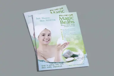 โบรชัวร์ผลิตภัณฑ์ Magic Beans